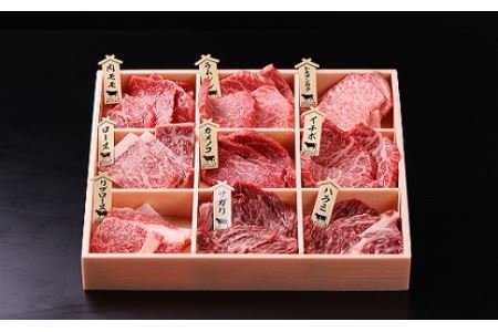 佐賀牛食べ比べ！！焼肉セット9種盛WS1004