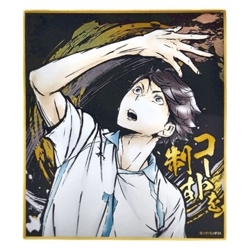 Haikyu 排球少年!! 激鬥!!閃亮色紙 及川徹 15歲以上適用  1色  1個