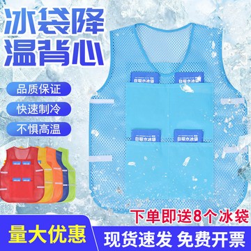 🔥臺灣出貨🔥降溫冰馬甲製冷冰袋空調背心戶外工地高溫透氣夏天液冷水冷製神器