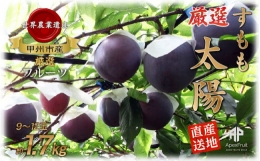 甲州市産 すもも『太陽』約1.7kg（化粧箱9～12玉）（APX）B-872