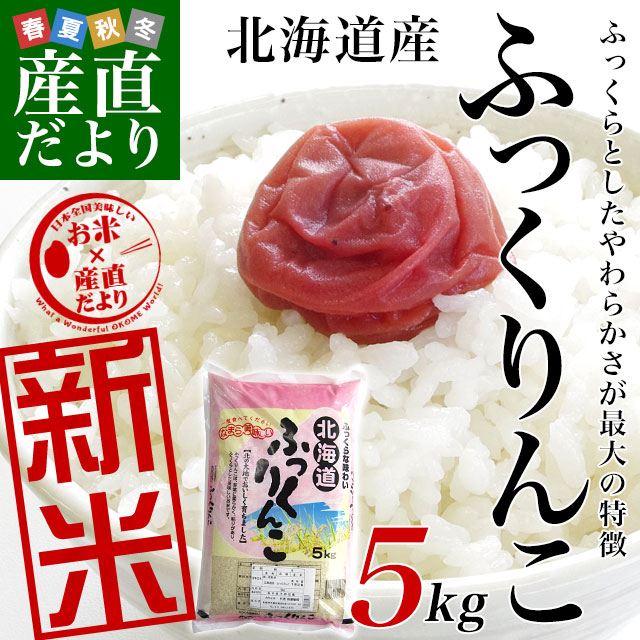 令和5年産　北海道産 ＜新米＞ ふっくりんこ　5キロ　送料無料　お米　北海道米