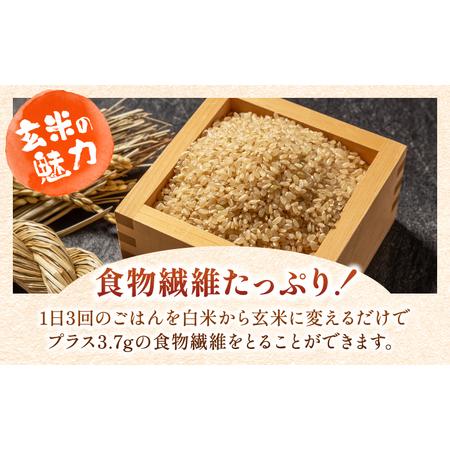 ふるさと納税 特A獲得！さがびより 玄米 5kg 総計60kg 吉野ヶ里町 大塚米穀店 ご飯 ごはん お米 お弁当 .. 佐賀県吉野ヶ里町