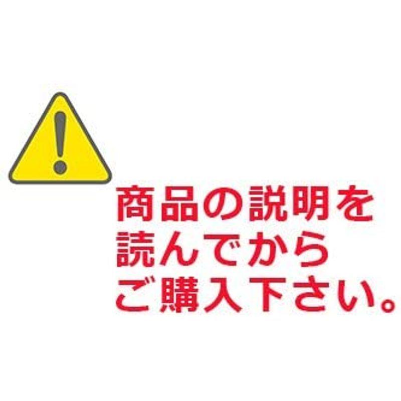 ORBYS 地球儀 カラーラ30L ライト付 球径30cm 行政図