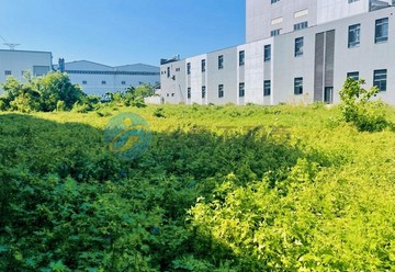 龍井茄投｜漂亮乙工｜台中市龍井區茄投段