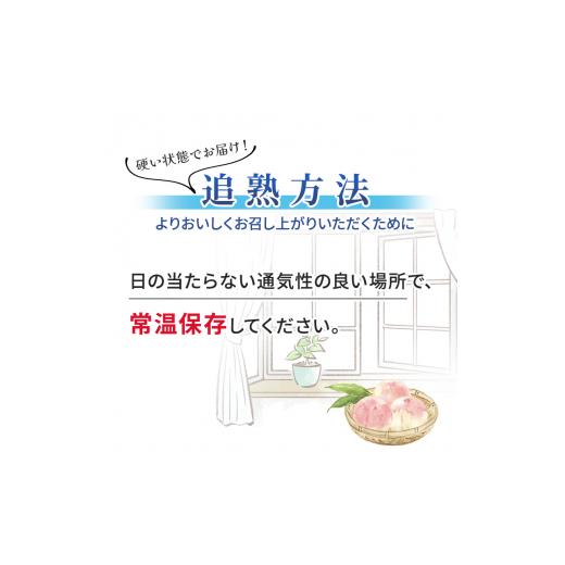 ふるさと納税 長野県 小諸市 2024年発送 先行予約 浅間水蜜桃 みつおかの もも 川中島白桃 秀品 約5kg 長野県産 小諸市 桃 [No.5915-0503]