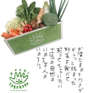 ふるさと納税 「定期便」野菜詰め合わせセット12ヵ月 高知県香美市