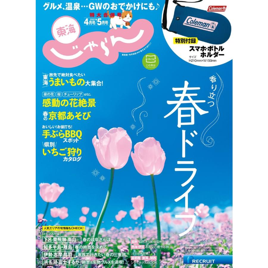 東海じゃらん 2021年4月 5月号 電子書籍版   東海じゃらん編集部