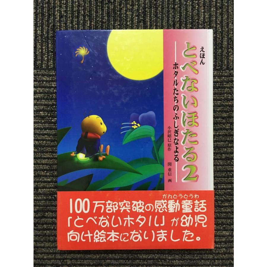 とべないほたる〈2〉ホタルたちのふしぎなよる   小沢 昭巳