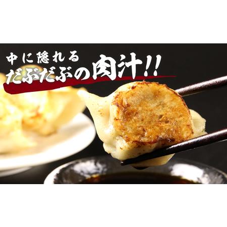 ふるさと納税 だぶだぶの肉汁をすすりたくなる餃子 60個（30個入×2パック） 北海道白老町