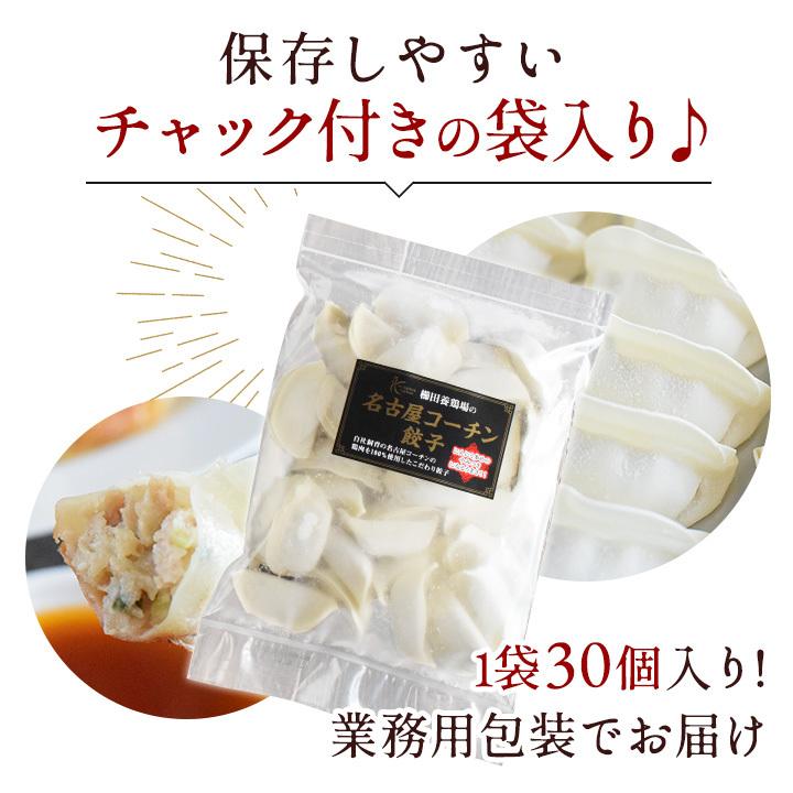 名古屋コーチン餃子 60個入り(30個入り×2袋) 冷凍餃子 餃子 送料無料 お試し 生餃子 冷凍生餃子 食品 惣菜 中華 鶏肉