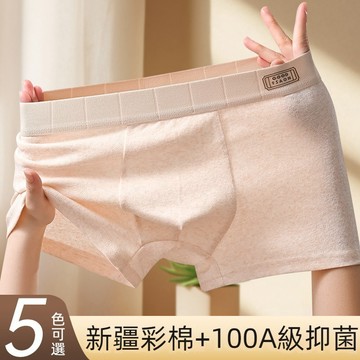 【四季可穿 10A抗菌】純棉雲感大碼四角褲 透气平口褲 舒適無壓 U型囊袋 不夾腿不悶熱 彈力腰頭 居家休閒褲 男內褲