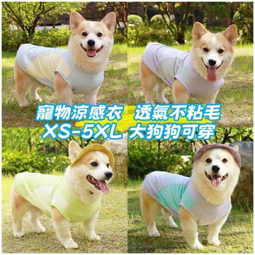 台灣現貨 寵物涼感衣 透氣網眼不粘毛 狗狗防曬衣 防蟲夏季柯基衣服 貓咪衣服 狗狗涼感背心 大狗衣服 柴犬涼感衣
