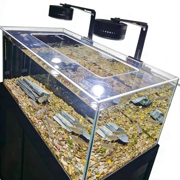 統編發票 PC魚缸蓋透明魚缸蓋板溪流缸防跳防濺水蓋板爬寵缸上蓋防跳頂蓋 魚缸蓋 防跳蓋 防貓蓋 防跳網 魚缸網