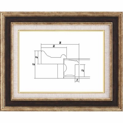 額縁 油絵/油彩額縁 アクリル付 8234-TO F20号 ゴールド/ブラウン-