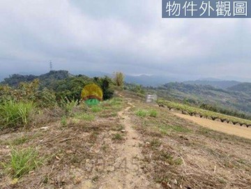 東勢中嵙高海拔美農地丨山景第一排車可達丨地主誠售｜台中市東勢區東勢段中嵙小段
