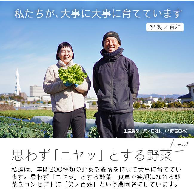 無農薬 野菜セット 農家直送 6〜8品目 安心安全 有機野菜詰め合わせ 大阪 西日本 産地直送 笑ノ百姓 笑の百姓