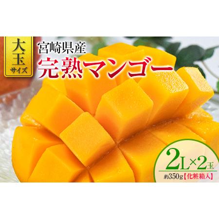 ふるさと納税 宮崎県産 完熟マンゴー 2L×2玉 化粧箱入り ※2024年4月中旬から順次出荷 宮崎県新富町