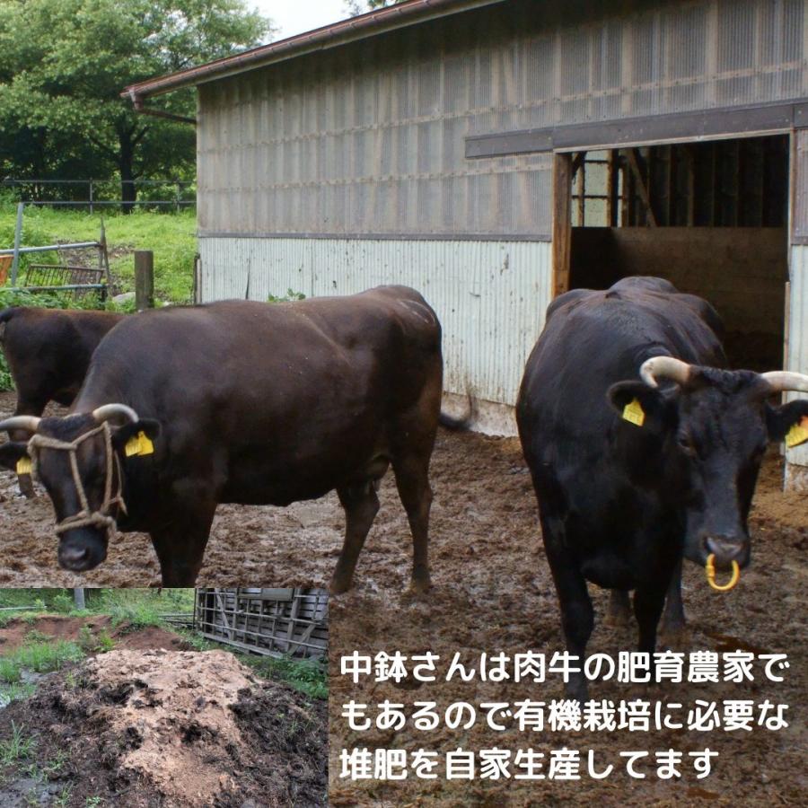 令和5年新米 ササニシキ  有機JAS　無農薬玄米　玄米5kg　宮城県産