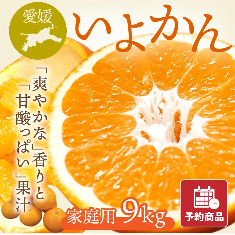 いよかん 伊予柑 家庭用 9kg 愛媛県産みかん みかん 柑橘類 予約商品