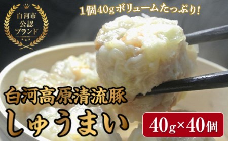 「白河高原清流豚」をメイン食材としたしゅうまい 1個 40gとボリューム感のある一品（40個入り） F21R-869