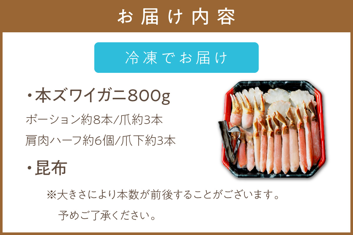 北見市加工 生冷本ズワイガニセット 800g 昆布入 海鮮 魚介類 魚介 蟹 かに カニ セット 鍋 カニ鍋 カニ爪 ズワイガニ かにしゃぶ カット済 贈答 ギフト 熨斗 のし ふるさと納税