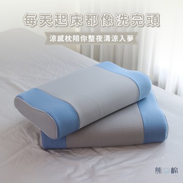 冰爆涼感記憶枕