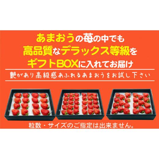 ふるさと納税 福岡県 朝倉市 あまおう DX等級以上 約300g×2パック ※配送不可：北海道・東北・沖縄・離島