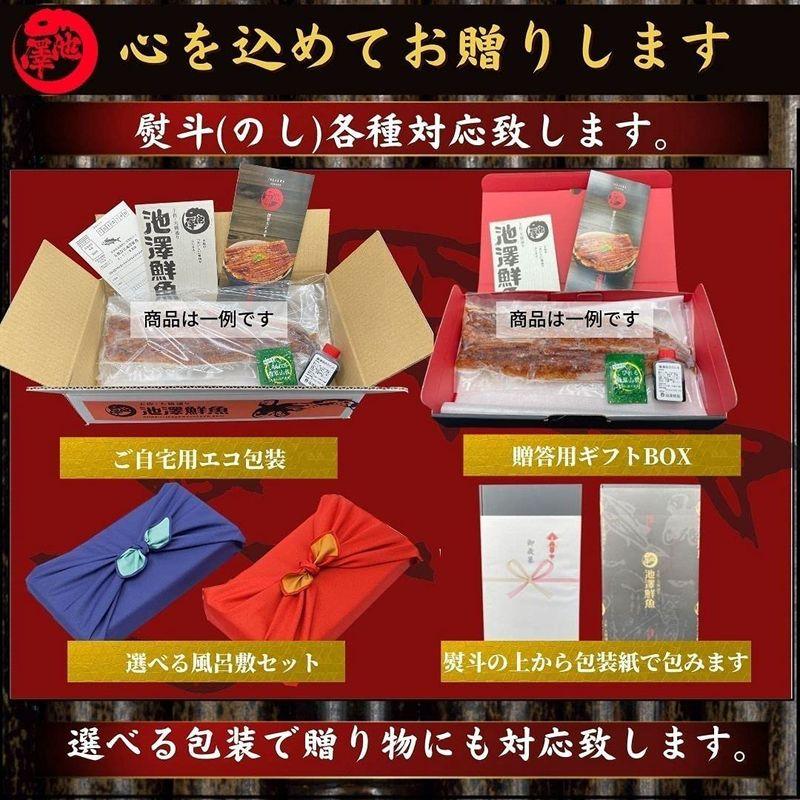 四万十川産 うなぎ 蒲焼き 無投薬 約150g×1尾 池澤鮮魚 誕生日 国産 (贈答用ギフト包装)