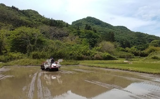 立神米こしひかり（玄米）定期便 5kg 9回お届け 茨城県 大子町 コシヒカリ 米