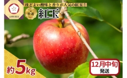  りんご 5kg 紅玉 青森