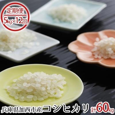 ふるさと納税 加西市 兵庫県加西市産 コシヒカリ 5kg×12回[No5698-0249]