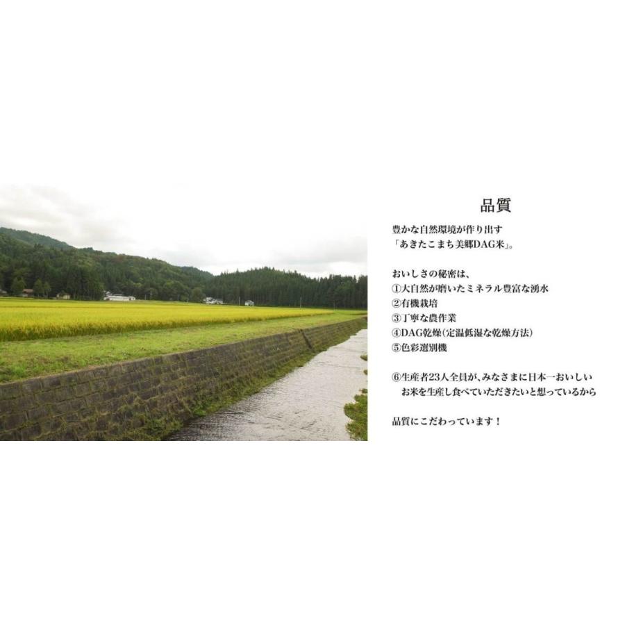 玄米 10kg お米 あきたこまち 送料無料 秋田県産 一等米 秋田美人 令和３年産 うるち米 ごはん