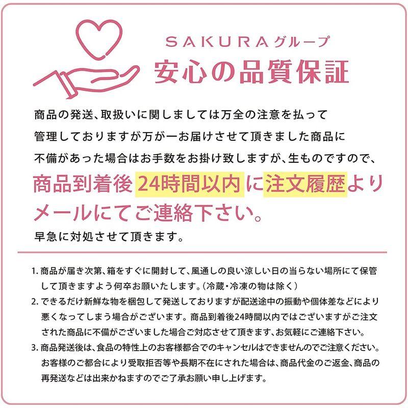 赤リンゴ 青リンゴ 各3個セット 高糖度 等級 赤秀 ギフトボックス梱包 産地 品種はフルーツマイスターが旬な時期に果物を選定いたします 熨