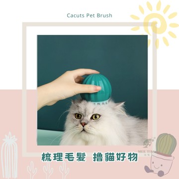 仙人掌造型梳 寵物按摩梳 SPA 順毛 整理  寵物美容 狗貓適用 梳子 擺飾 除廢毛梳 洗澡刷 洗澡梳 造型梳 狗貓兔