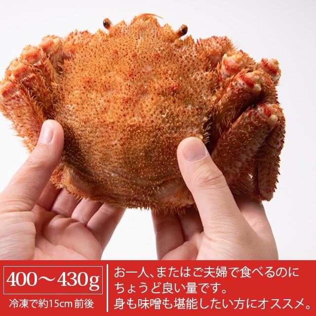 お歳暮 ギフト カニ 毛ガニ 送料無料 えりも活蒸し毛蟹３尾（１尾：約400〜430g）   御歳暮 冬ギフト 毛蟹 毛ガニ 姿 蟹姿 茹で かに 海鮮 海鮮セット