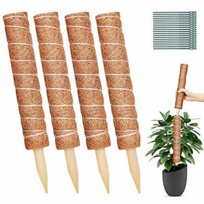園芸支柱40cm 4個 植物支柱 観葉支柱 ココナッツ支柱 環境保護 天然ココナッツ 給水 ガーデニング フラワースタンド 花支え 植物サポ 通販 Lineポイント最大get Lineショッピング