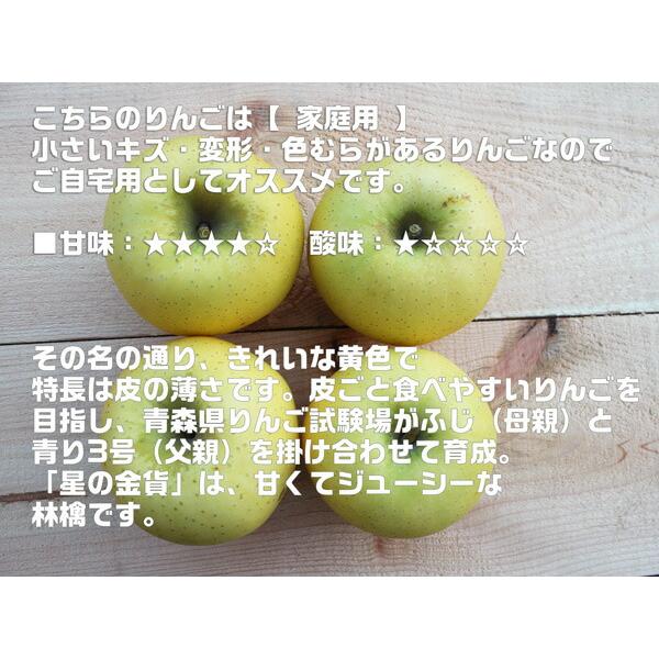 りんご 青森りんご 星の金貨 家庭用 3kg 林檎 青森県産 リンゴ お取り寄せ フルーツ 果物 デザート 通販 自宅用 送料無料　お歳暮