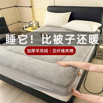 羊羔絨墊子冬天床笠冬季加絨加厚夾棉床墊保護套床罩毛絨鋪床毯子