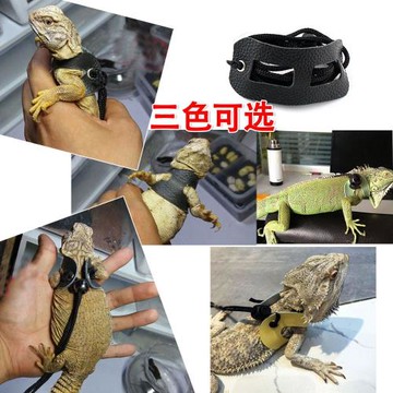 蜥蜴牽引繩 爬寵外出牽引帶 遛蜥蜴繩 小寵牽引繩 皮革牽引繩