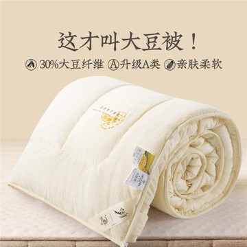 遠夢家居被子冬被親膚纖維被大豆被棉被加厚被芯家紡春秋空調被