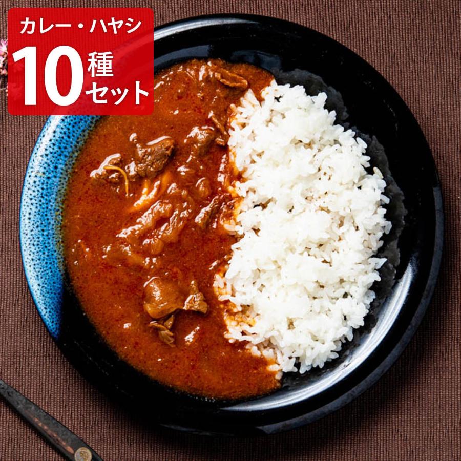 カレー＆ハヤシ 10種セット 詰め合わせ カレー 惣菜 チキンカレー ポークカレー ハヤシライス 甘口 辛口 おかず