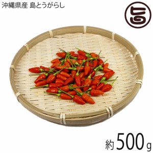 沖縄産 島唐辛子500ｇ 沖縄 南国野菜 希少 土産 香辛料