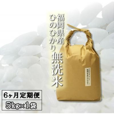 ふるさと納税 小郡市 福岡県産 無洗米ひのひかり 5kg×6ヵ月