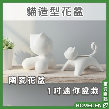 【隔日到貨】貓造型花盆 1吋 小臉貓 大嘴巴 陶瓷花盆 花器 燭台 多肉植物 仙人掌 迷你盆栽【HOMEDEN霍登園藝】