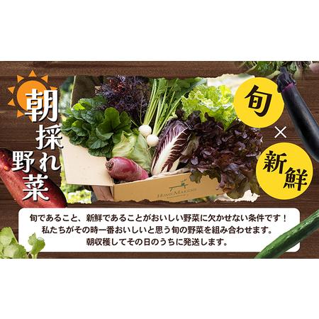 ふるさと納税 瀬戸内小豆島の旬野菜セット 農家直送 年12回お届け 香川県土庄町