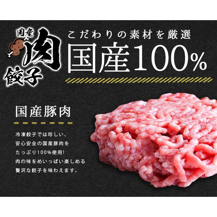 餃子 ぎょうざ ギョウザ ギョーザ gyouza 20個 50個 国産 国産豚肉 国産野菜 豚肉 海老餃子 海老 えび エビ 中華 食品 冷凍 冷凍餃子 美味しい ニンニクあり