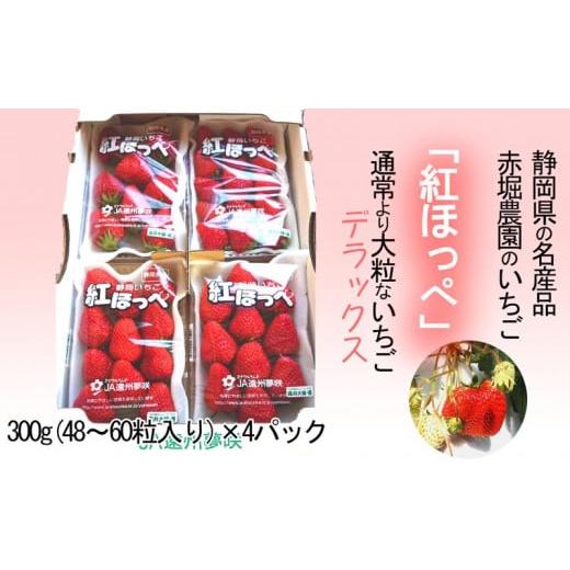 ふるさと納税 静岡県 掛川市 １８５９　静岡県産・紅ほっぺいちご「デラックス」300g×4P　計1.2ｋｇ　令和６年1月20日より順次発送　イトウシャディ大東店