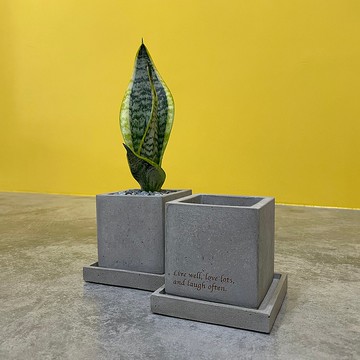 水泥製 心境 勵志 盆器 容器 花器 筆筒 收納