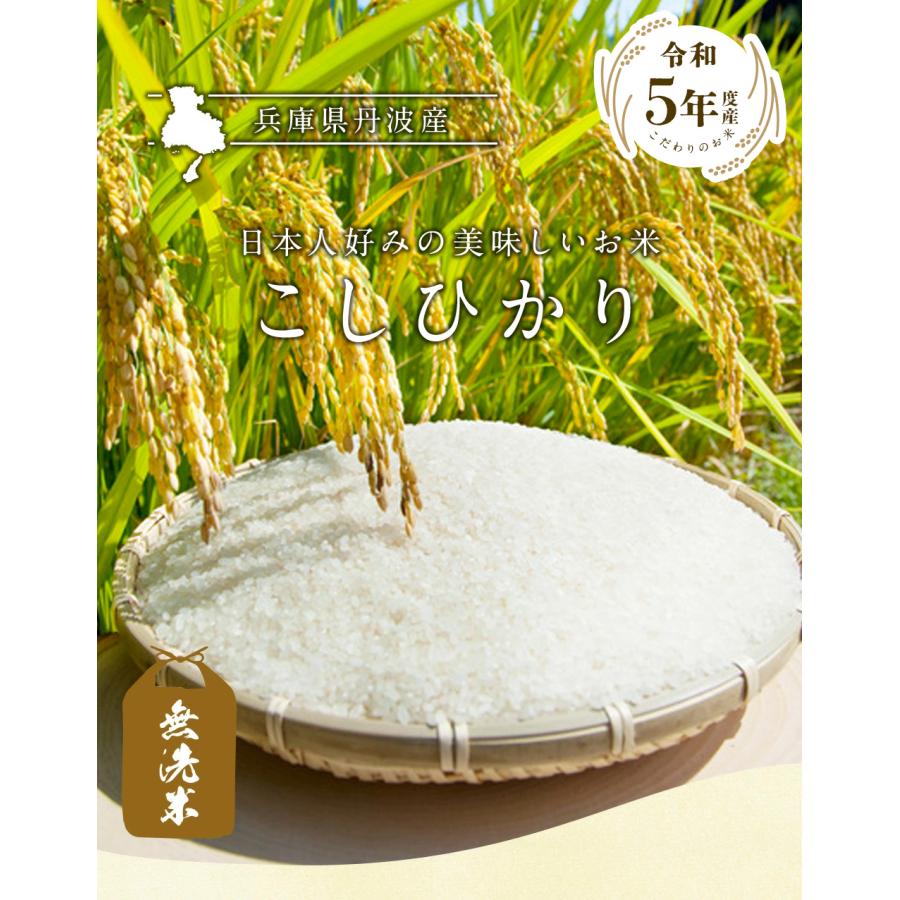 新米 無洗米 丹波産（兵庫県）コシヒカリ20kg（5kg×4袋）  送料無料 令和5年産 お米 丹波産  兵庫県産 （北海道・沖縄別途送料）（配達日・時間指定は不可）