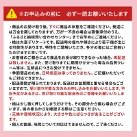 2024年発送 先行予約 浅間水蜜桃 みつおかの もも なつっこ 秀品 約2kg 5～9玉